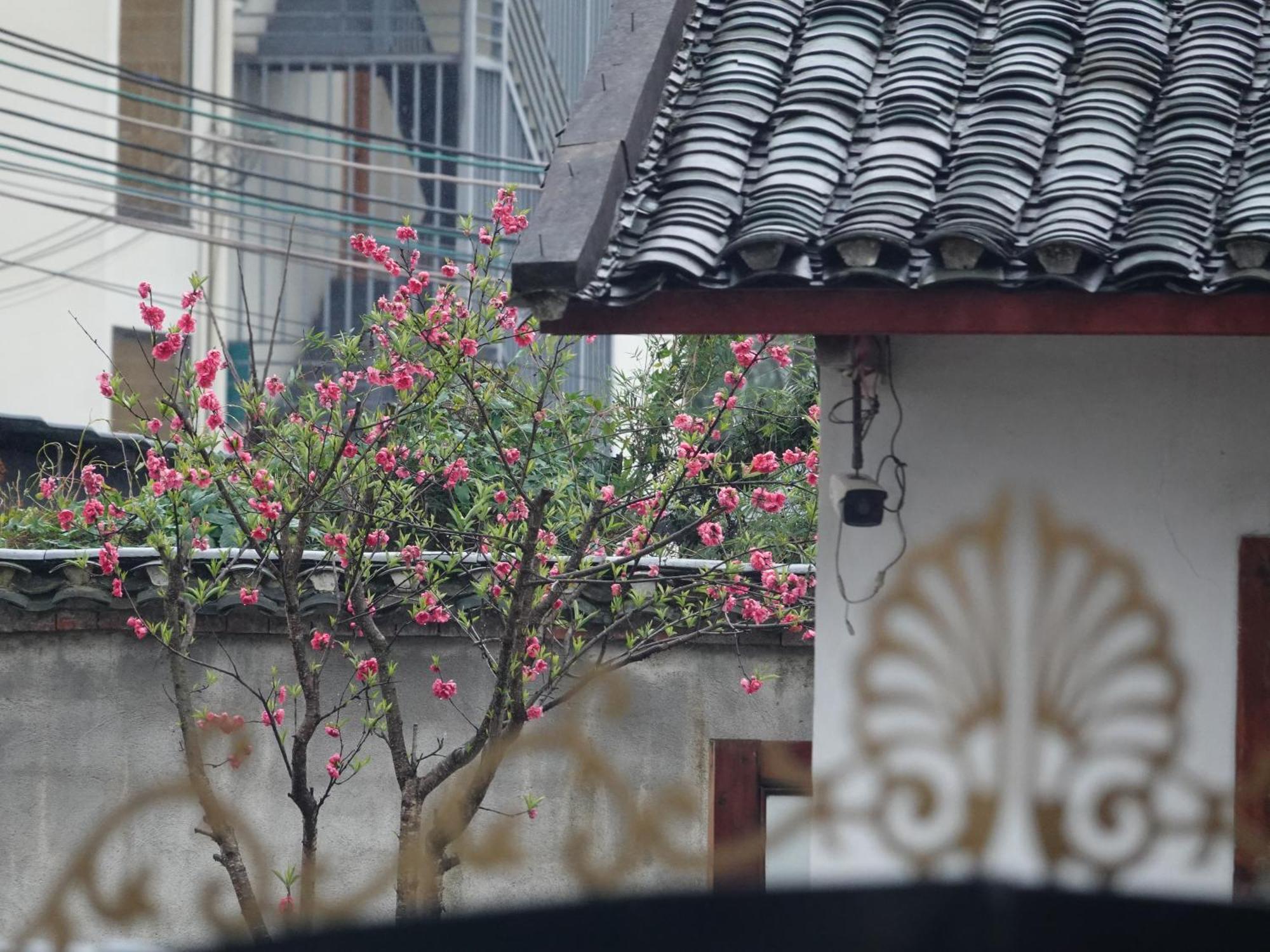 Yangshuo Xiao Long River Hotel エクステリア 写真
