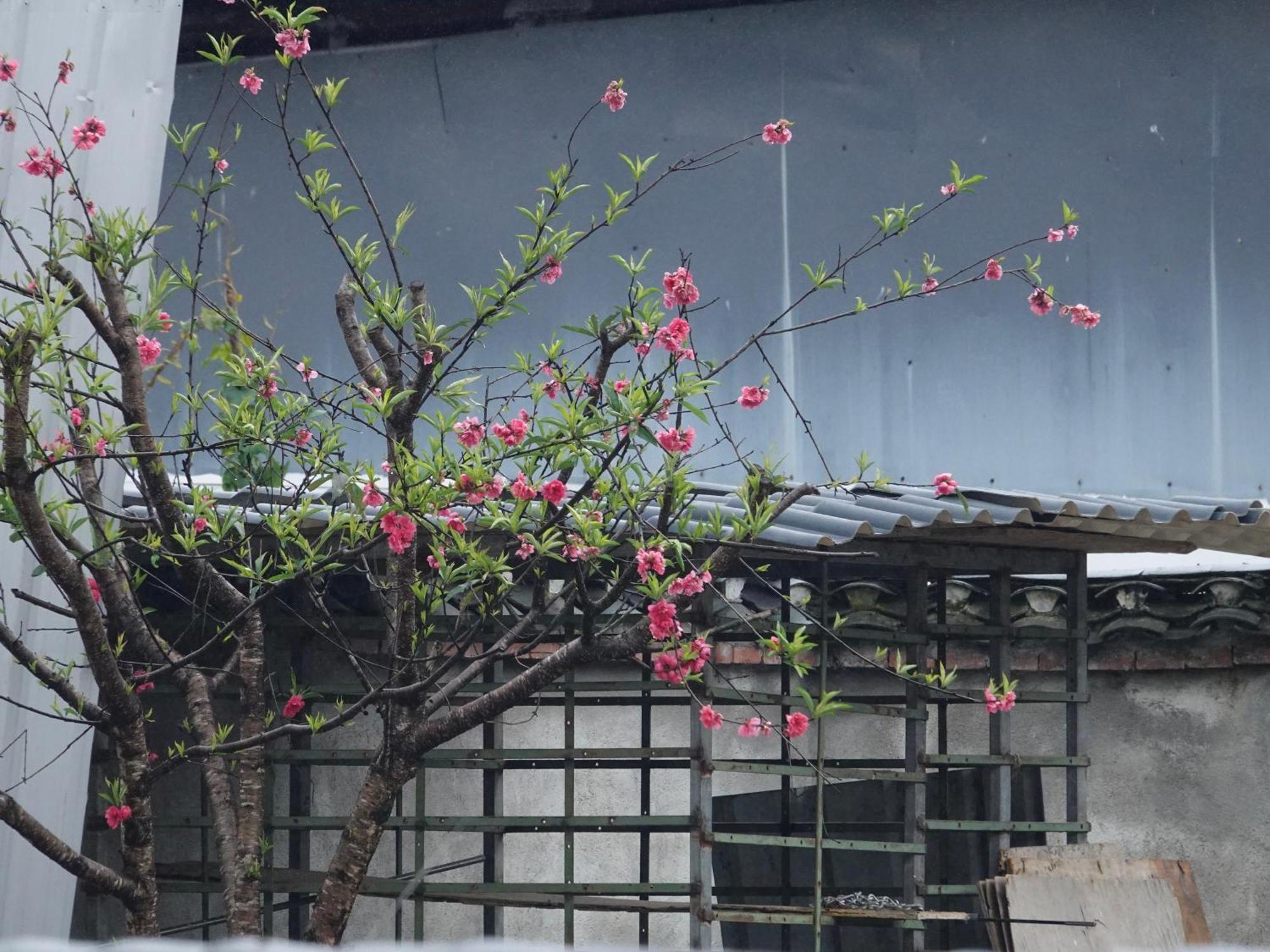 Yangshuo Xiao Long River Hotel エクステリア 写真