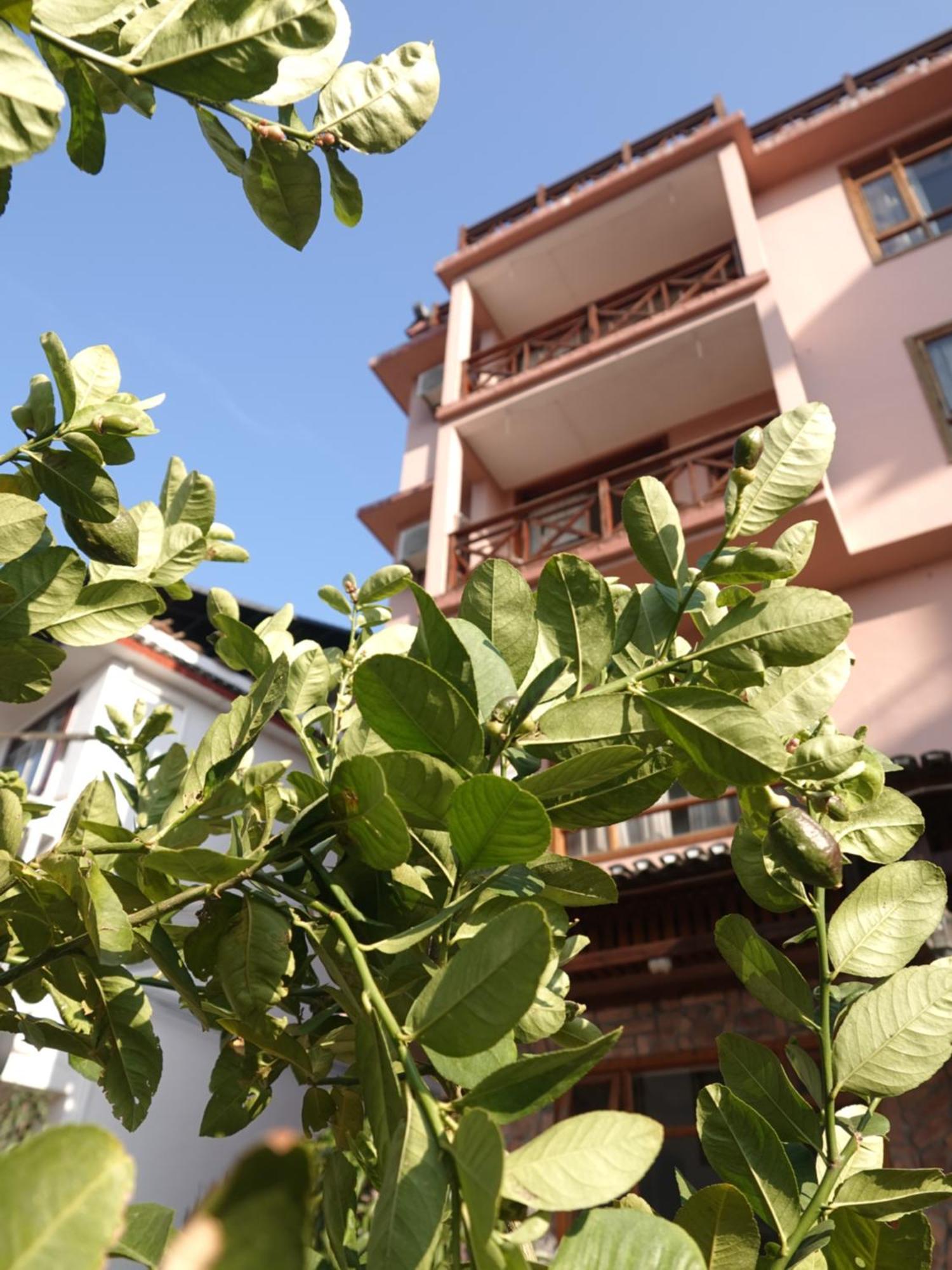 Yangshuo Xiao Long River Hotel エクステリア 写真