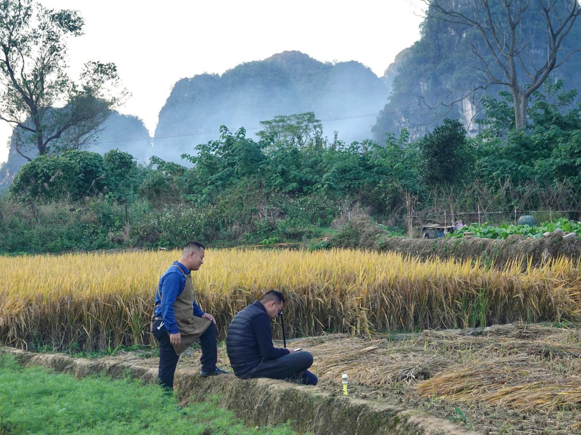 Yangshuo Xiao Long River Hotel エクステリア 写真